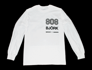 Björk 808 State