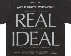 Why Theory?